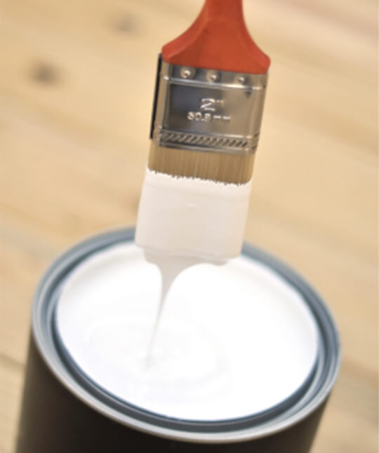 Paint